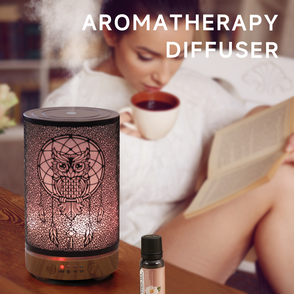 Home Fragrance Piano - 100ml Air Humidifier Hollow Owl Cool