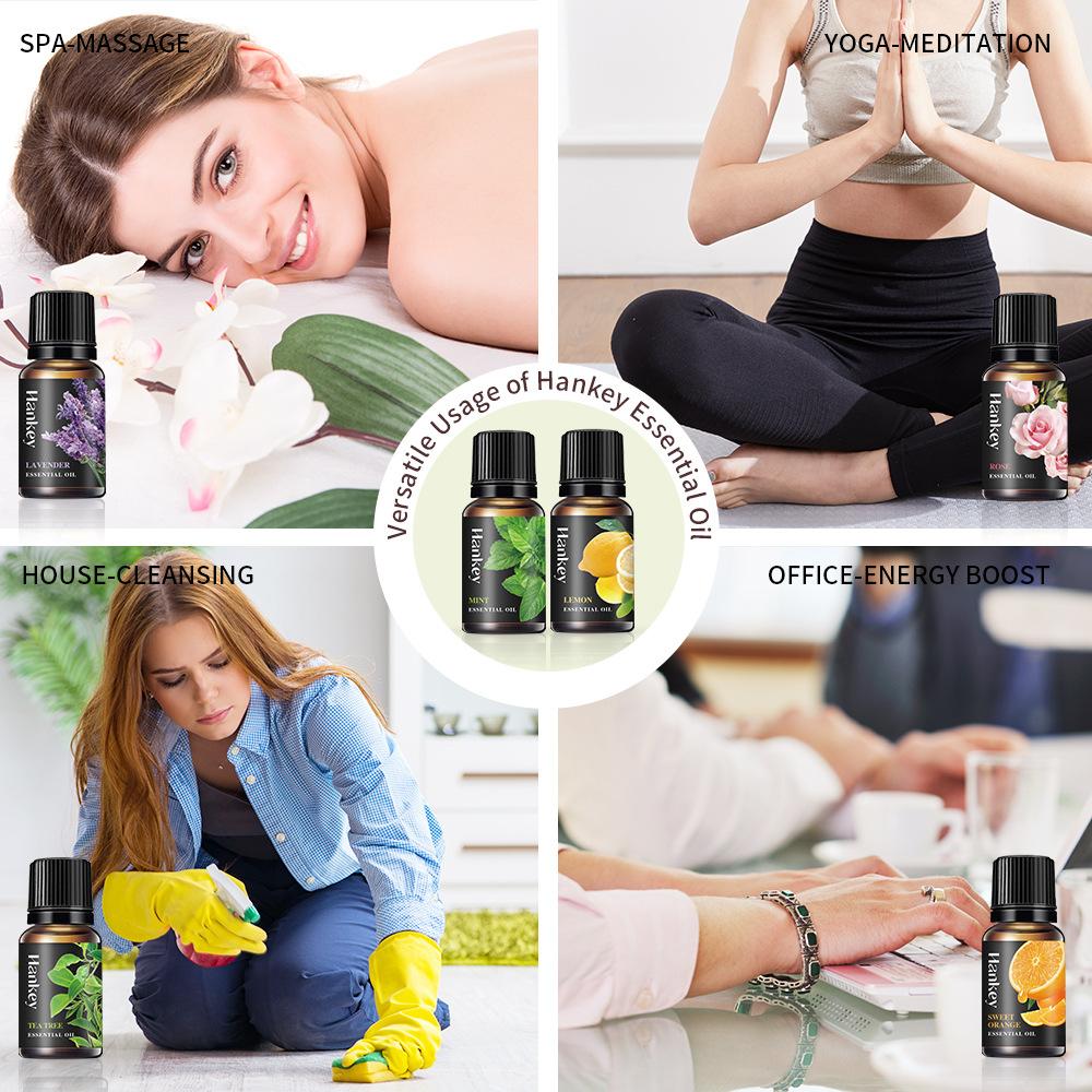 12 Flavors 10ml Essential Oils - Home Fragrance Vanilla ulasan dan harga
