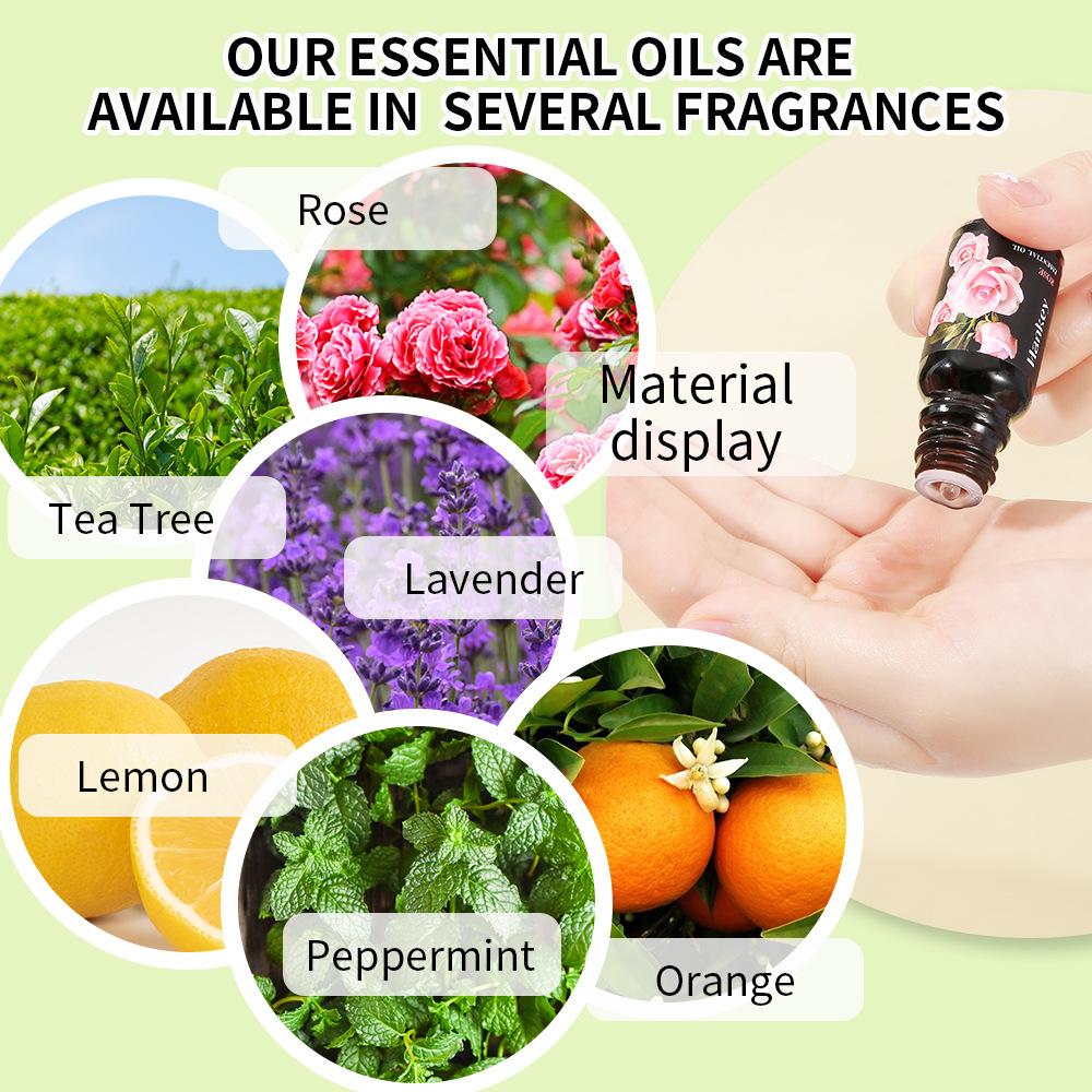12 Flavors 10ml Essential Oils - Home Fragrance Vanilla ulasan dan harga