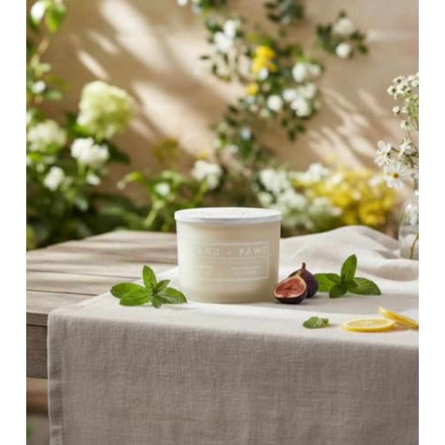 Home fragrance candles for pet - Home Fragrance Fig ulasan dan harga